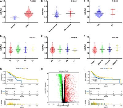 Weighted Gene Coexpression Network Analysis of Features That Control Cancer Stem Cells Reveals Prognostic Biomarkers in Lung Adenocarcinoma